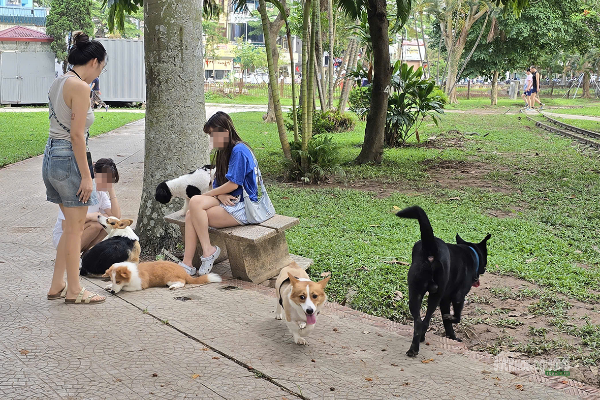 Dạo công viên trong nỗi thấp thỏm vì chó không rọ mõm- Ảnh 5. Dạo công viên trong nỗi thấp thỏm vì chó không rọ mõm- Ảnh 5.