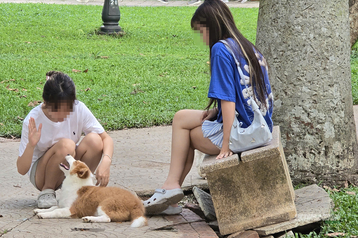 Dạo công viên trong nỗi thấp thỏm vì chó không rọ mõm- Ảnh 7. Dạo công viên trong nỗi thấp thỏm vì chó không rọ mõm- Ảnh 7.