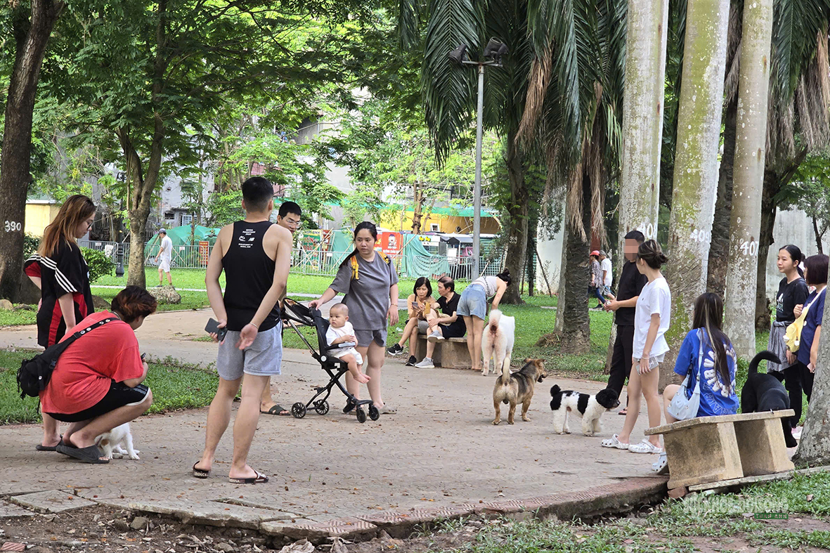 Dạo công viên trong nỗi thấp thỏm vì chó không rọ mõm- Ảnh 4. Dạo công viên trong nỗi thấp thỏm vì chó không rọ mõm- Ảnh 4.