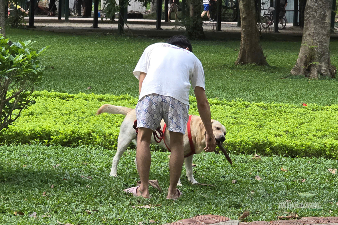 Dạo công viên trong nỗi thấp thỏm vì chó không rọ mõm- Ảnh 10. Dạo công viên trong nỗi thấp thỏm vì chó không rọ mõm- Ảnh 10.