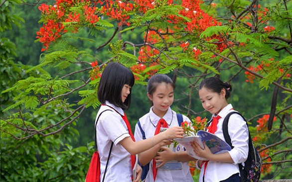 Lời dặn học trò ‘khép lại trang sách’ để mở ra mùa hè trải nghiệm của cô Hiệu trưởng- Ảnh 9. Lời dặn học trò ‘khép lại trang sách’ để mở ra mùa hè trải nghiệm của cô Hiệu trưởng- Ảnh 9.