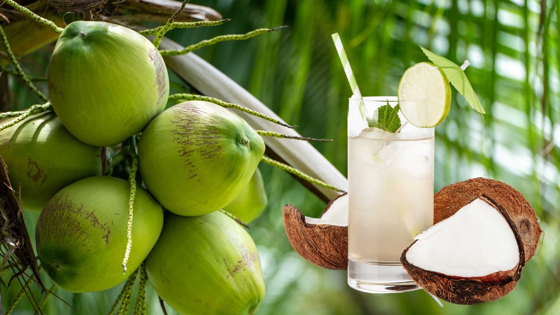 Dấu hiệu cảnh báo cơ thể đang bị mất nước mùa nóng và cách bổ sung nước hiệu quả- Ảnh 1. Dấu hiệu cảnh báo cơ thể đang bị mất nước mùa nóng và cách bổ sung nước hiệu quả- Ảnh 1.