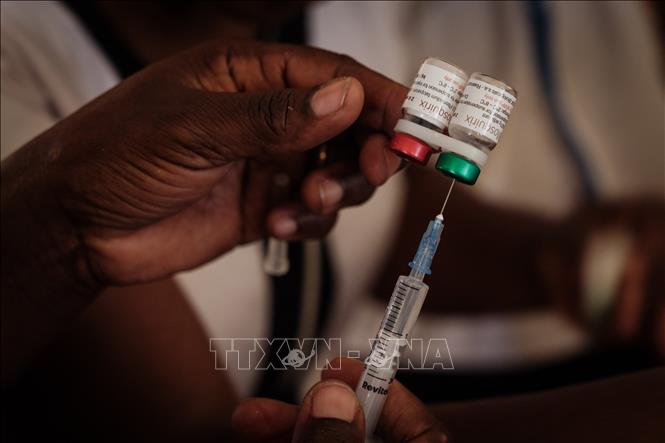 Australia phát triển thành công vaccine sốt rét thế hệ mới không cần bảo quản lạnh- Ảnh 1. Australia phát triển thành công vaccine sốt rét thế hệ mới không cần bảo quản lạnh- Ảnh 1.
