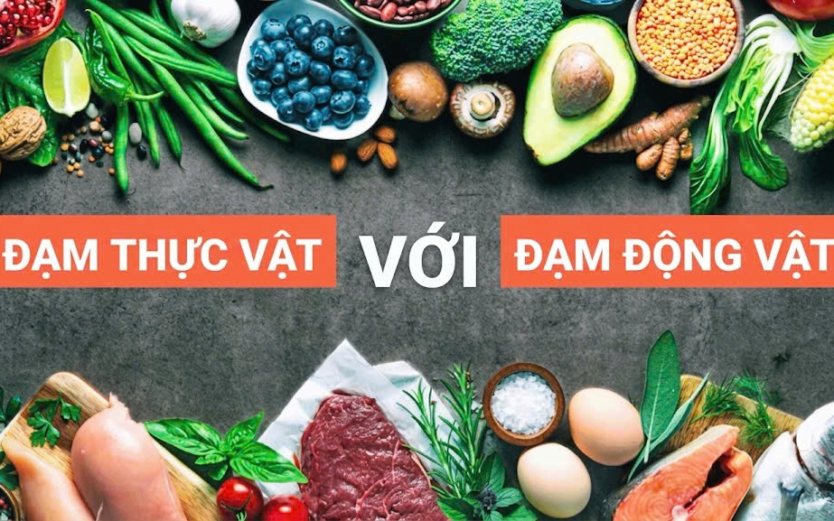 4 loại cá nước ngọt giàu protein giúp bồi bổ cho người mới ốm dậy- Ảnh 3.