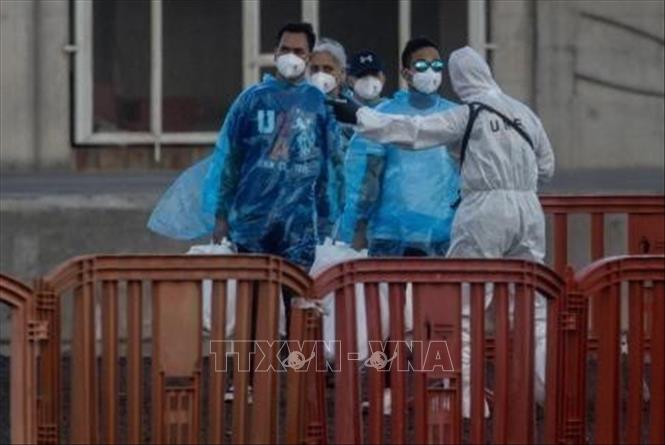 Virus Hanta: Nhiều nước giám sát chặt hành khách liên quan ổ dịch trên du thuyền- Ảnh 1.