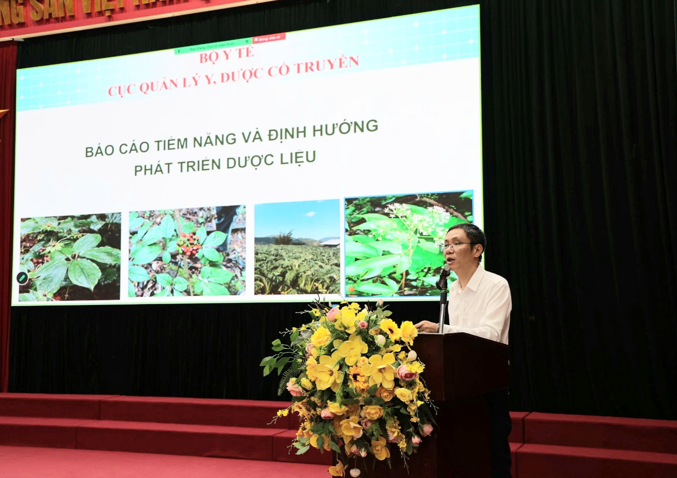 Khơi thông tiềm năng dược liệu Việt Nam để trở thành ngành kinh tế mũi nhọn- Ảnh 2.