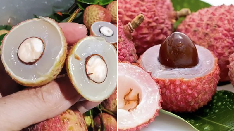 Ăn nhiều nhãn, vải thiều có gây mụn nhọt, hại cho da không?- Ảnh 1.