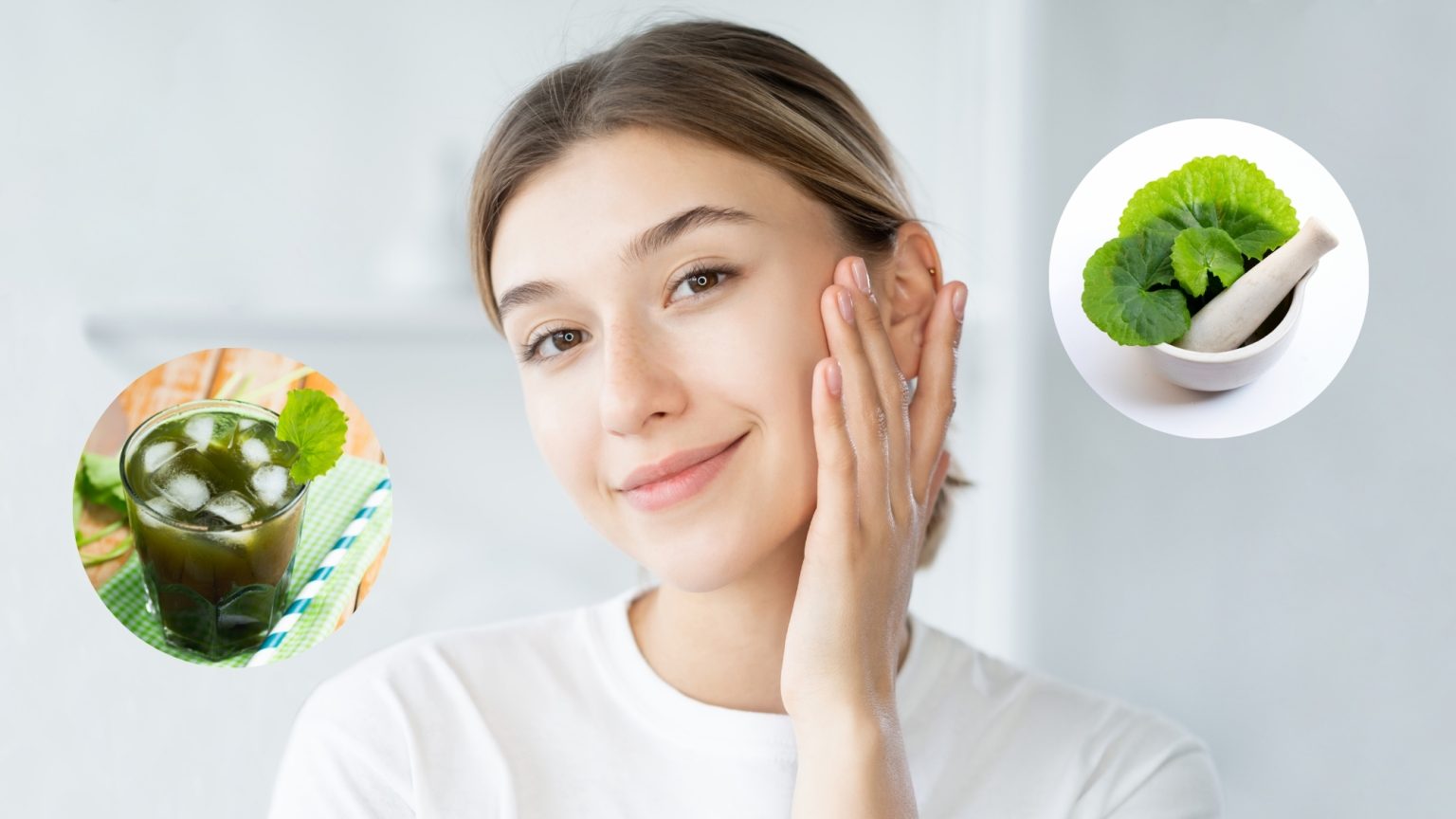 Rau má có giúp chống lão hóa?- Ảnh 3. Rau má có giúp chống lão hóa?- Ảnh 3.