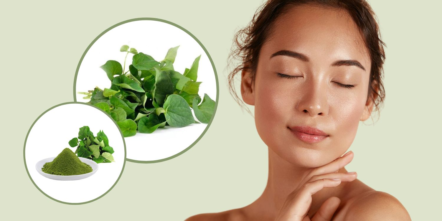 Rau má có hỗ trợ trị mụn trứng cá không?- Ảnh 1. Rau má có hỗ trợ trị mụn trứng cá không?- Ảnh 1.