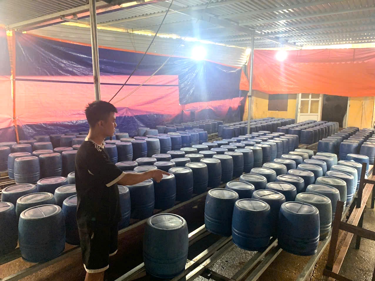 Sử dụng chất cấm sản xuất 2 tấn giá đỗ- Ảnh 1.