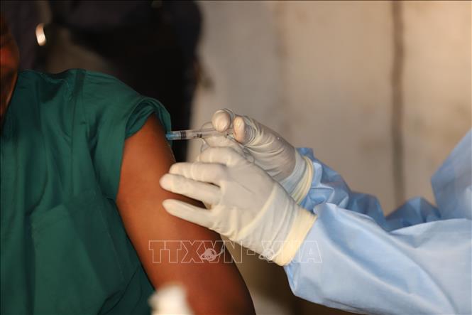 WHO: Nguy cơ bùng phát dịch Ebola trên toàn cầu ở mức thấp- Ảnh 1. WHO: Nguy cơ bùng phát dịch Ebola trên toàn cầu ở mức thấp- Ảnh 1.