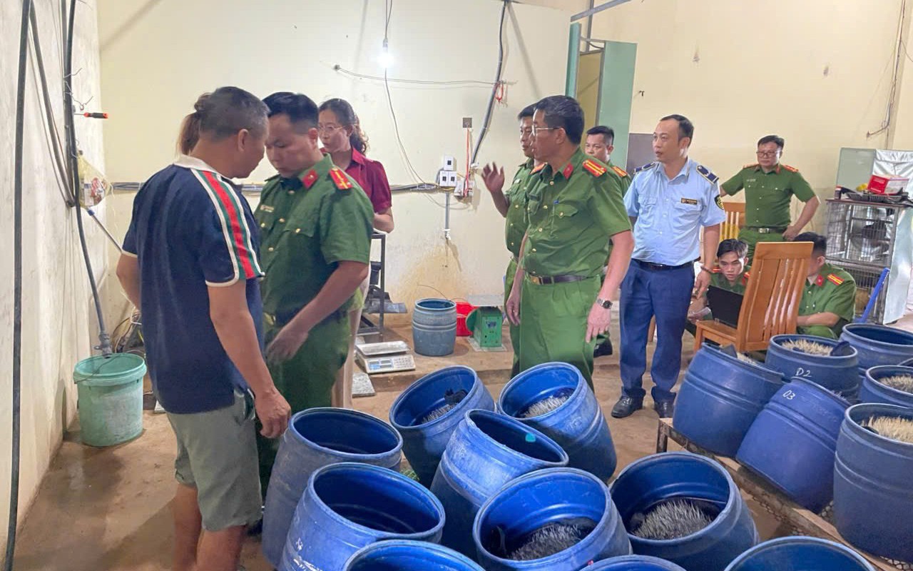 Hơn 1.000 tấn giá đỗ ngâm 'nước kẹo' tuồn vào các chợ, quán ăn ở Bình Thạnh, Gò Vấp cũ- Ảnh 8. Phát hiện cơ sở sản xuất giá đỗ sử dụng chất cấm ở Hải Phòng