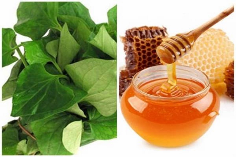 5 cách làm mặt nạ rau diếp cá giúp trị mụn, giảm thâm, làm dịu da mùa hè- Ảnh 2. 5 cách làm mặt nạ rau diếp cá giúp trị mụn, giảm thâm, làm dịu da mùa hè- Ảnh 2.