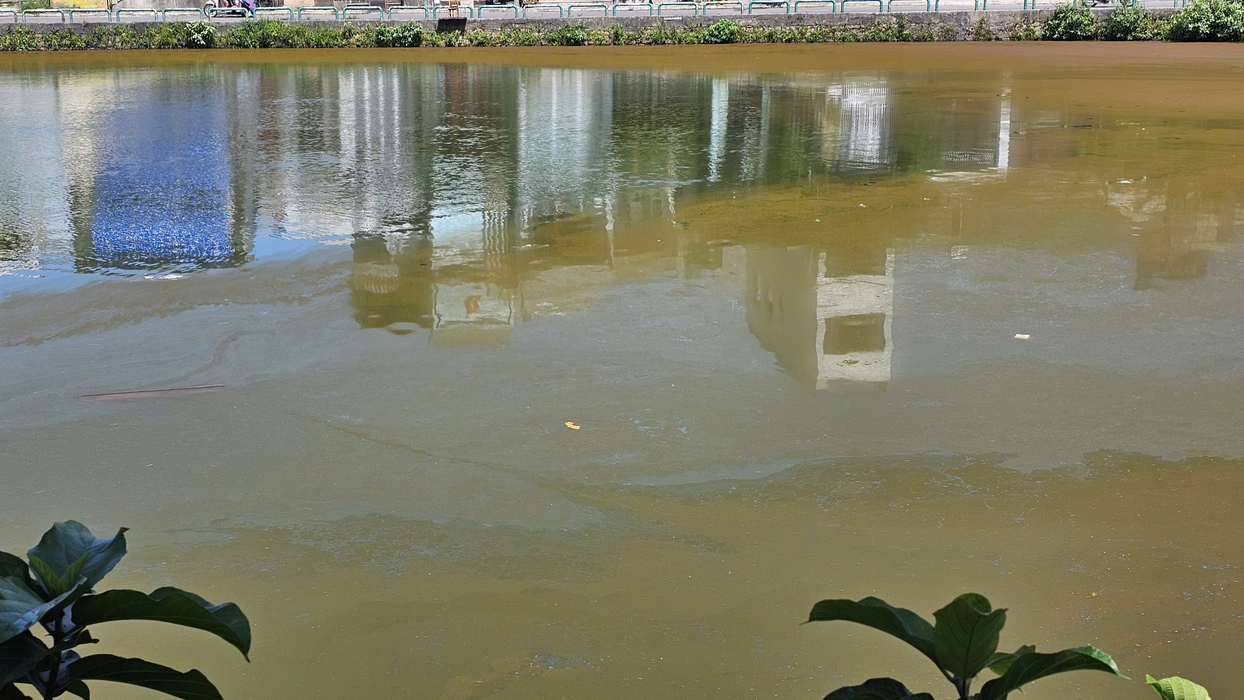 Mặt nước hồ Trái Tim ở Huế xuất hiện váng, đổi màu bất thường- Ảnh 1.