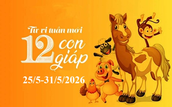 Tử vi tuần mới 12 cung hoàng đạo 25 - 31/5: Nhân Mã lạc quan, Song Tử rực rỡ- Ảnh 3. Tử vi tuần mới 12 con giáp 25 - 31/5: Tị biến động, Thìn vô cùng thuận