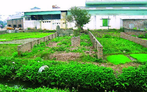 Bộ NN&MT giải đáp việc thu hồi sổ đỏ khi đã chuyển nhượng một phần diện tích- Ảnh 2. Bộ NN&MT giải đáp việc thu hồi sổ đỏ khi đã chuyển nhượng một phần diện tích- Ảnh 2.
