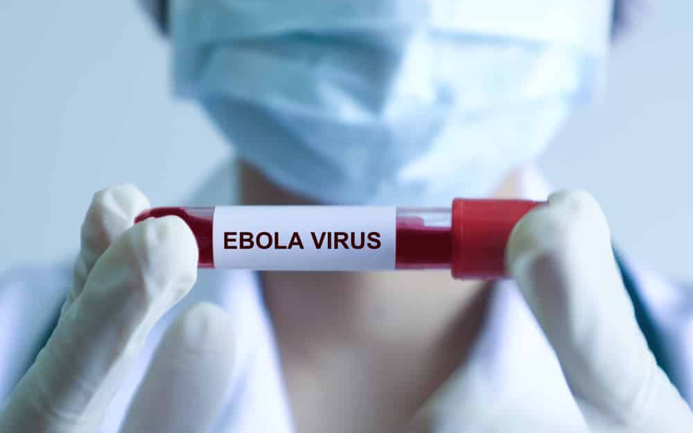 Dịch bệnh Ebola diễn biến phức tạp tại Châu Phi nhưng người dân không nên hoang mang- Ảnh 2. Dịch bệnh Ebola diễn biến phức tạp tại Châu Phi nhưng người dân không nên hoang mang- Ảnh 2.