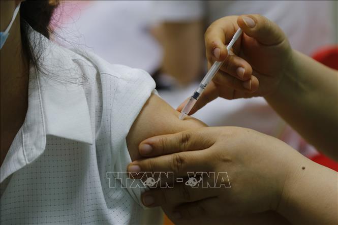 Khi nào triển khai tiêm vaccine HPV trong Chương trình tiêm chủng mở rộng?- Ảnh 1.