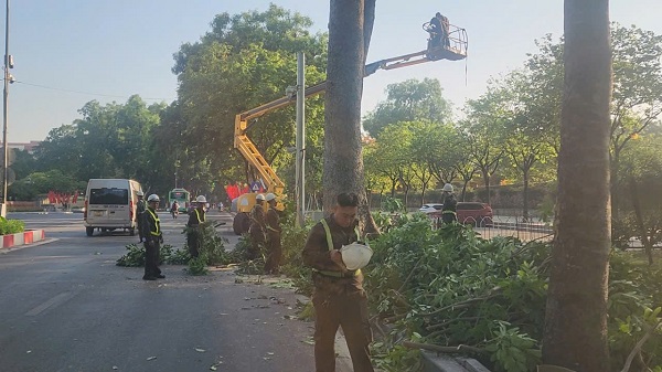 Hà Nội: Cắt sửa hơn 35.000 cây xanh trước mùa mưa bão- Ảnh 7. Hà Nội: Cắt sửa hơn 35.000 cây xanh trước mùa mưa bão- Ảnh 7.