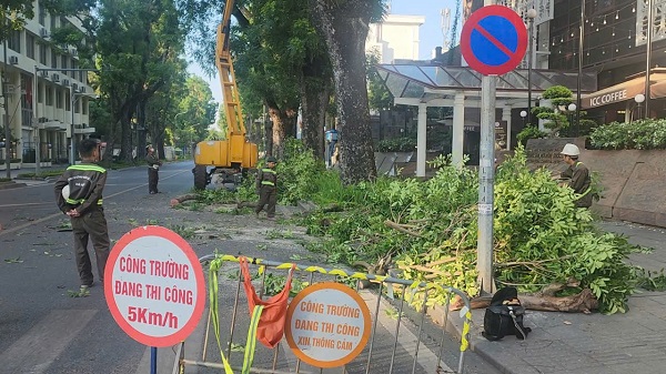 Hà Nội: Cắt sửa hơn 35.000 cây xanh trước mùa mưa bão- Ảnh 2. Hà Nội: Cắt sửa hơn 35.000 cây xanh trước mùa mưa bão- Ảnh 2.