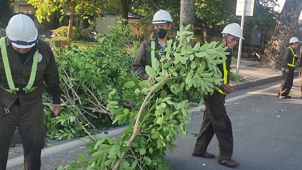 Hà Nội: Cắt sửa hơn 35.000 cây xanh trước mùa mưa bão- Ảnh 8. Hà Nội: Cắt sửa hơn 35.000 cây xanh trước mùa mưa bão- Ảnh 8.