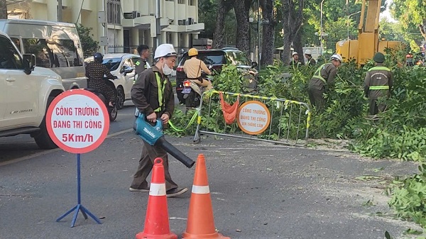 Hà Nội: Cắt sửa hơn 35.000 cây xanh trước mùa mưa bão- Ảnh 5. Hà Nội: Cắt sửa hơn 35.000 cây xanh trước mùa mưa bão- Ảnh 5.