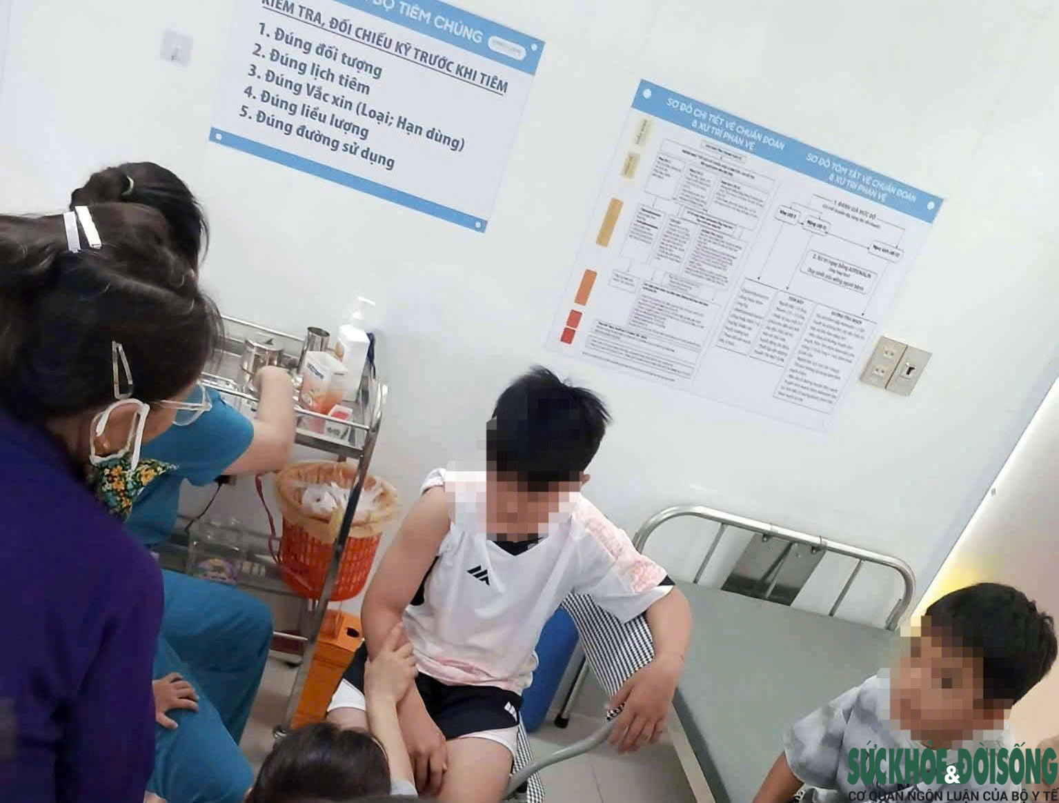 Nỗi ám ảnh mang tên chó thả rông- Ảnh 2. Nỗi ám ảnh mang tên chó thả rông- Ảnh 2.