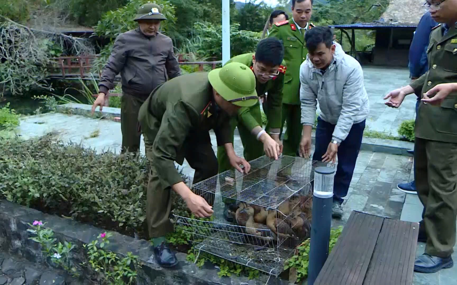 Ra mắt 'Trung tâm Thiên nhiên lưu động' đầu tiên trên thế giới tại Ninh Bình- Ảnh 4.