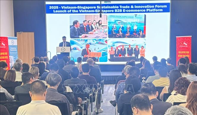 Nâng tầm quan hệ Việt Nam - Singapore; khẳng định vị thế của Việt Nam với thế giới- Ảnh 5.