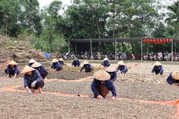 Y sĩ Nguyễn Thị Thái gìn giữ bài thuốc Đông y hỗ trợ điều trị hiếm muộn- Ảnh 2.
