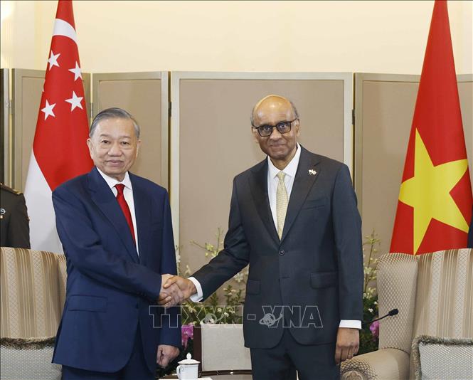 Tổng Bí thư, Chủ tịch nước Tô Lâm hội đàm với Tổng thống Singapore Tharman Shanmugaratnam- Ảnh 1.