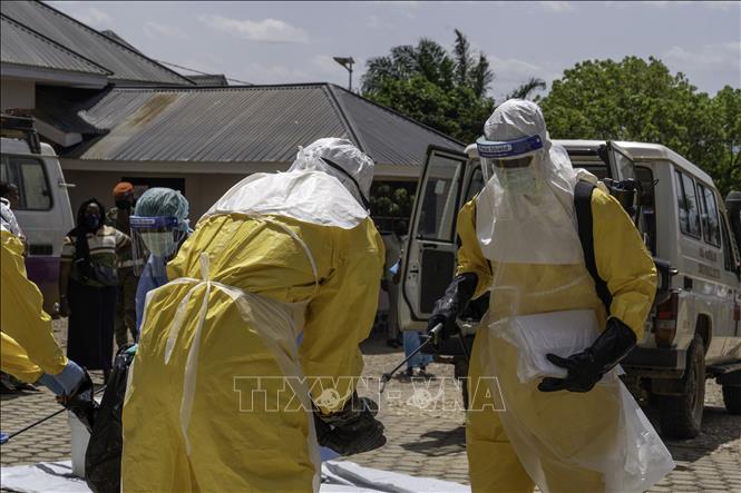 Vaccine và thuốc điều trị Ebola chủng Bundibugyo tiến triển đến đâu?- Ảnh 2. Vaccine và thuốc điều trị Ebola chủng Bundibugyo tiến triển đến đâu?- Ảnh 2.
