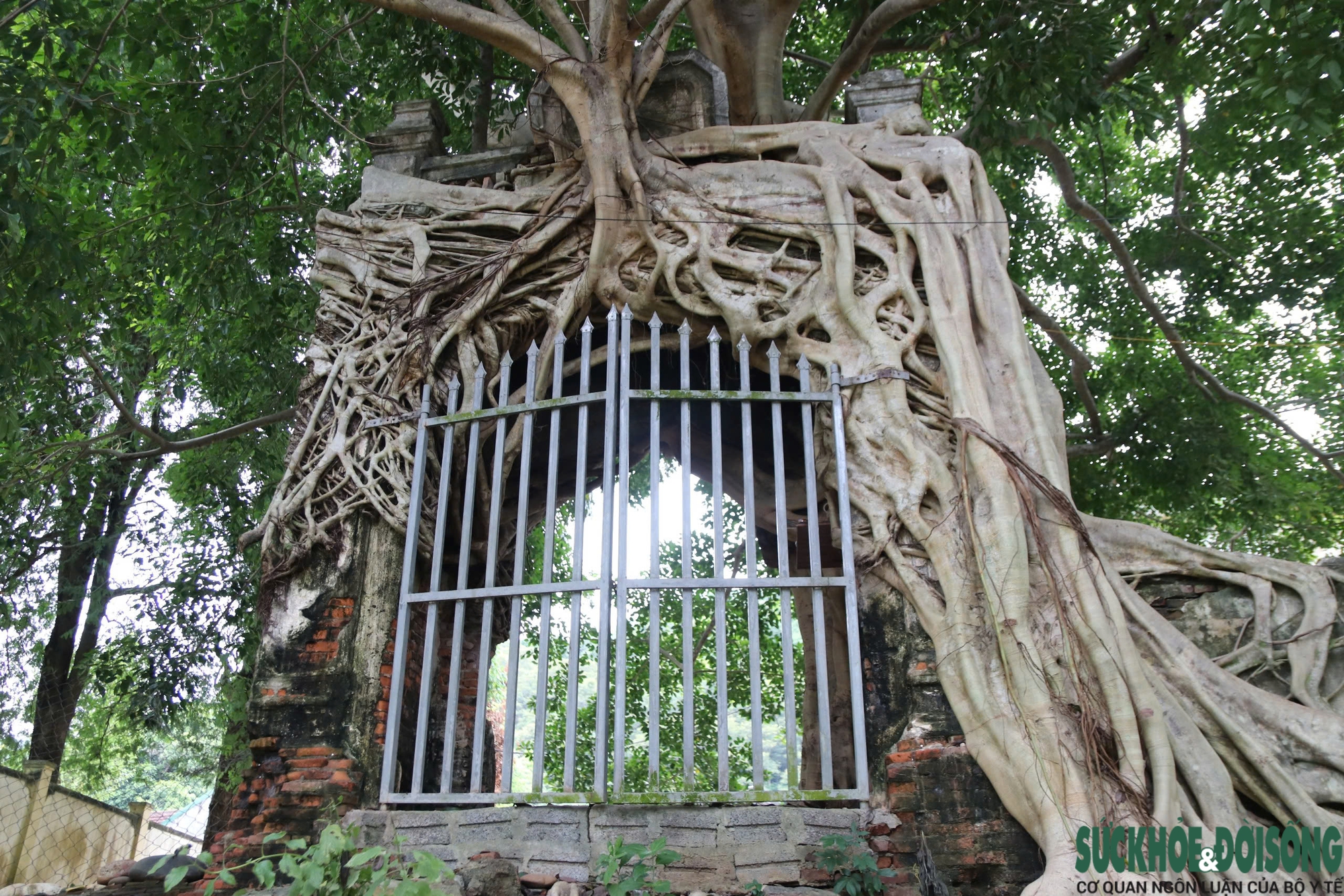 Về Nghệ An thăm cổng phủ Tương Dương xưa- Ảnh 5.