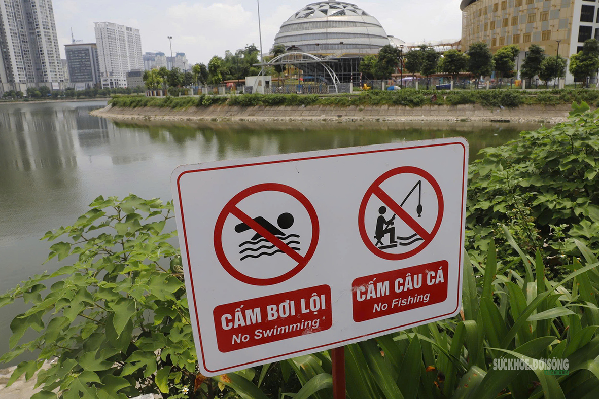 Cá chết dạt kín góc hồ điều hòa trăm tỷ ở Hà Nội- Ảnh 8. Cá chết dạt kín góc hồ điều hòa trăm tỷ ở Hà Nội- Ảnh 8.