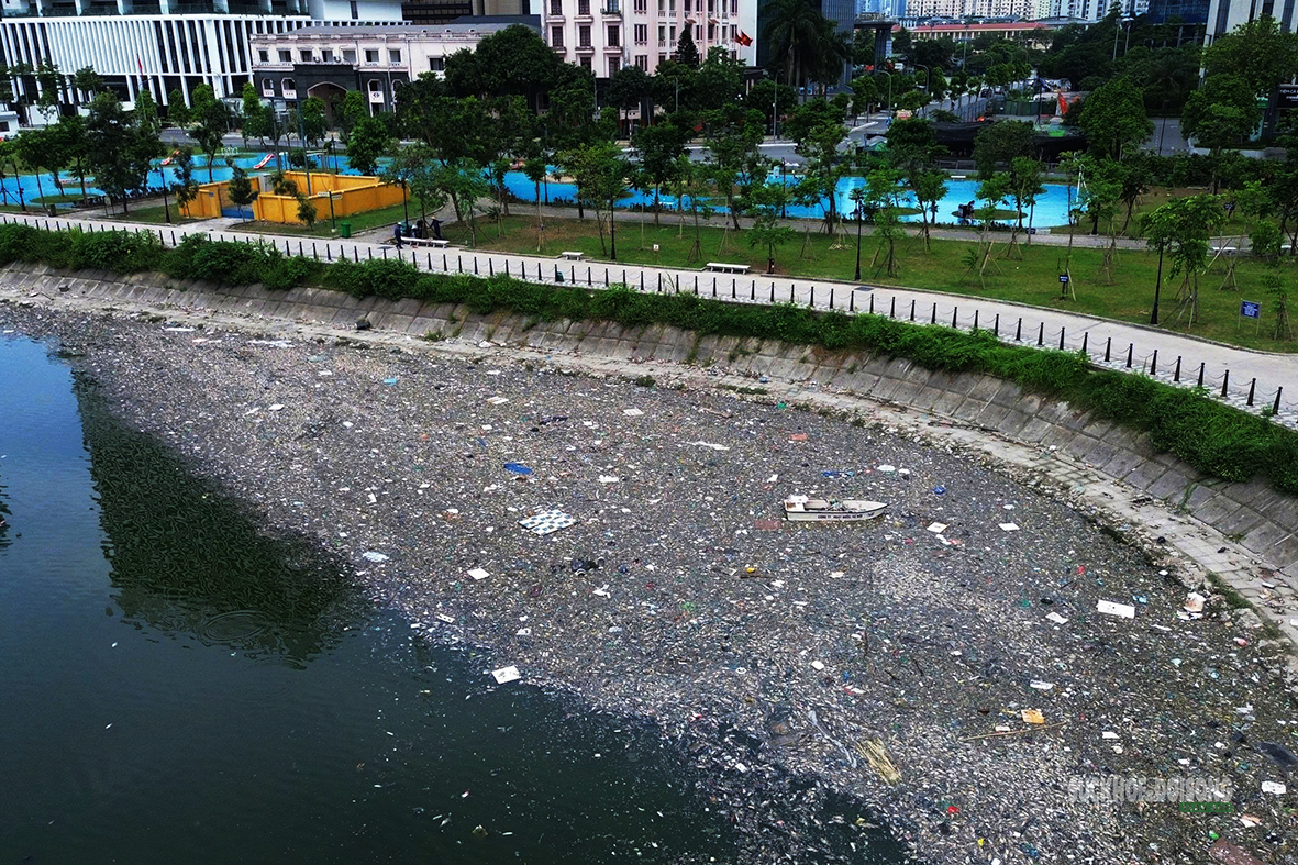 Cá chết dạt kín góc hồ điều hòa trăm tỷ ở Hà Nội- Ảnh 4. Cá chết dạt kín góc hồ điều hòa trăm tỷ ở Hà Nội- Ảnh 4.