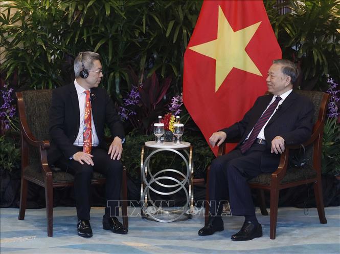 Tổng Bí thư, Chủ tịch nước Tô Lâm tiếp lãnh đạo các doanh nghiệp và tổ chức tài chính lớn của Singapore- Ảnh 2.