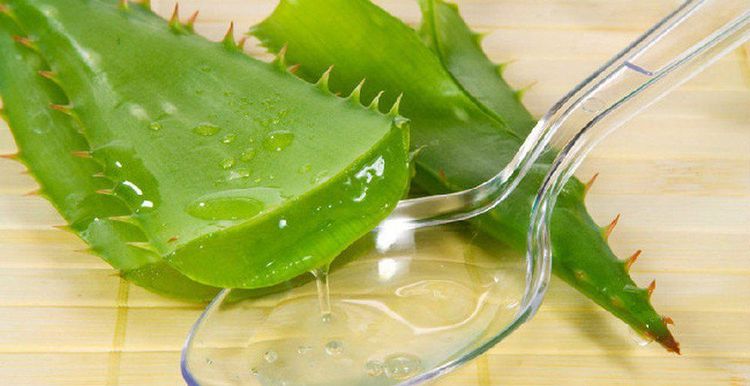5 biện pháp tự nhiên giúp giảm rám nắng da mặt trong mùa hè- Ảnh 2. 5 biện pháp tự nhiên giúp giảm rám nắng da mặt trong mùa hè- Ảnh 2.