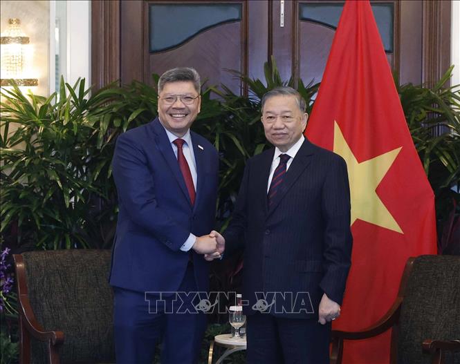 Tổng Bí thư, Chủ tịch nước Tô Lâm tiếp lãnh đạo các doanh nghiệp và tổ chức tài chính lớn của Singapore- Ảnh 5.