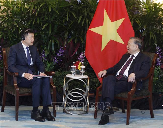 Tổng Bí thư, Chủ tịch nước Tô Lâm tiếp lãnh đạo các doanh nghiệp và tổ chức tài chính lớn của Singapore- Ảnh 7.