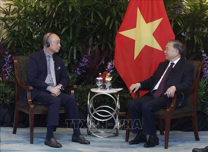 Tổng Bí thư, Chủ tịch nước Tô Lâm tiếp lãnh đạo các doanh nghiệp và tổ chức tài chính lớn của Singapore- Ảnh 9.