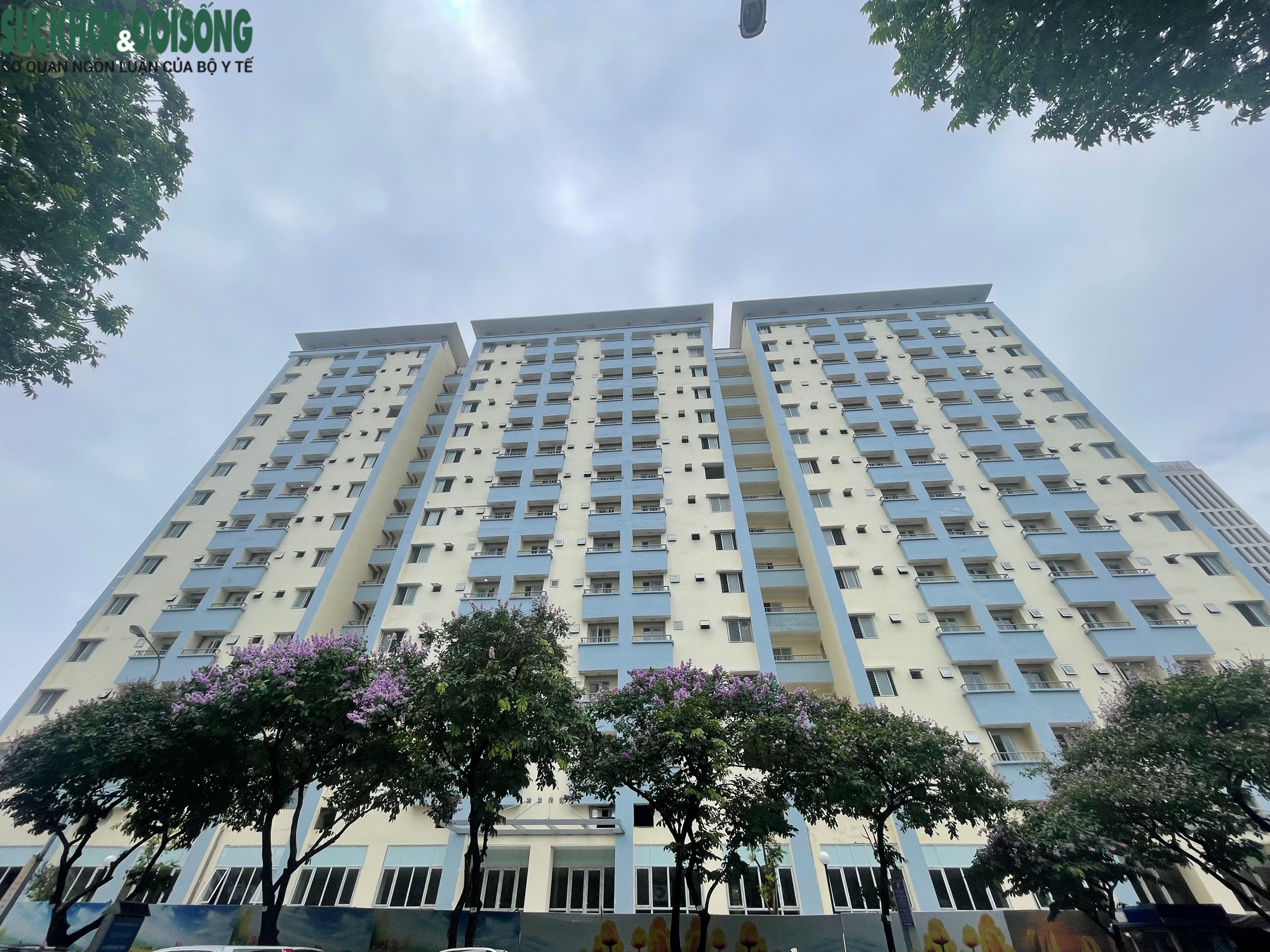 Cận cảnh nhà ở tái định cư bỏ hoang trên 'đất vàng'  được Bí thư Hà Nội yêu cầu hoàn thiện gấp- Ảnh 3.