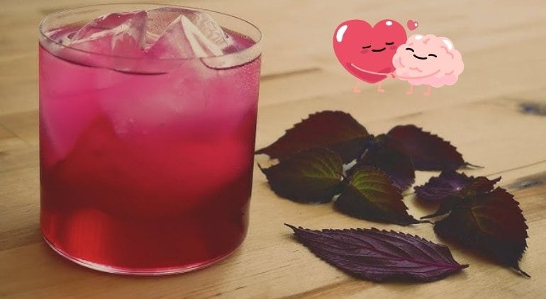 5 loại trà tốt cho người có cholesterol cao - Ảnh 3.