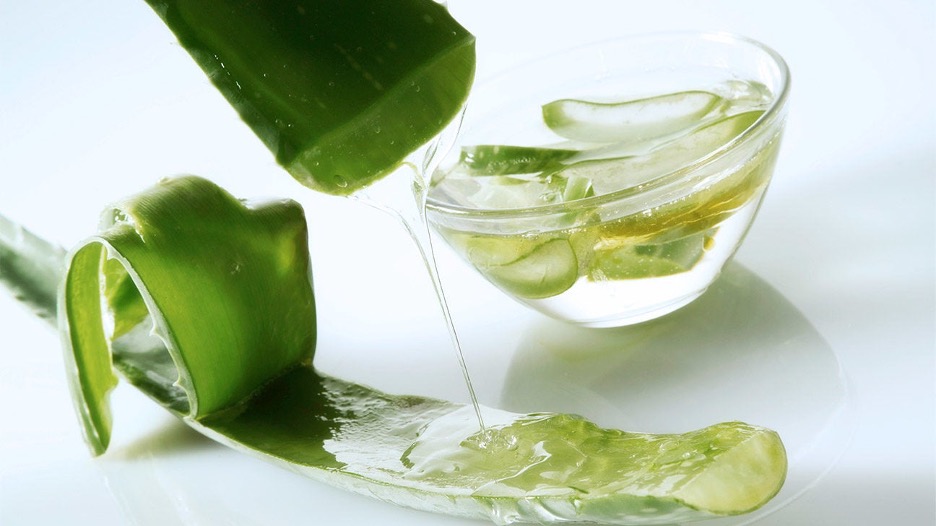 3 tác dụng của gel lô hội đối với tóc và da đầu- Ảnh 2.