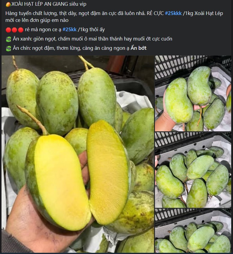 Xoài hạt lép là xoài gì mà được nhiều người tiêu dùng tiêu thụ 'chóng mặt' đến vậy?- Ảnh 2.