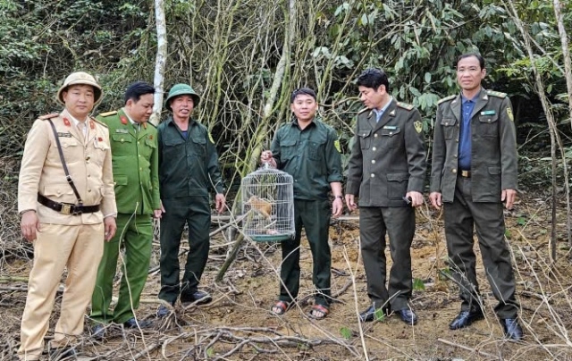Khu rừng chữa lành vết thương, khơi dậy bản năng sinh tồn cho động vật quý hiếm- Ảnh 1. Khu rừng chữa lành vết thương, khơi dậy bản năng sinh tồn cho động vật quý hiếm- Ảnh 1.