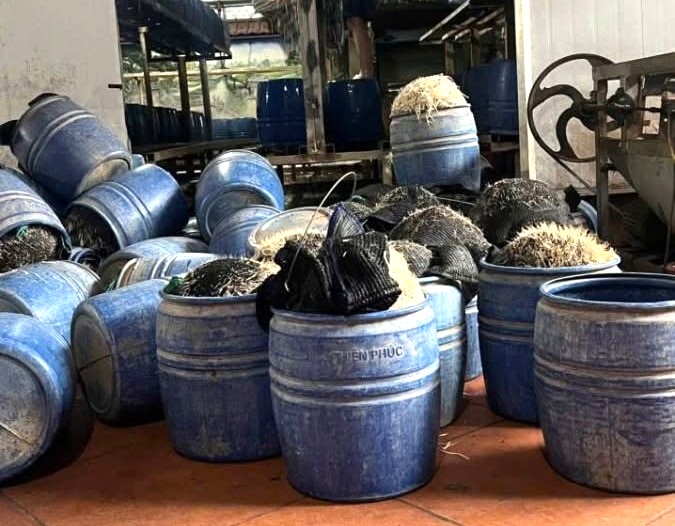 Dùng chất cấm để sản xuất giá đỗ, chủ cơ sở bị khởi tố - Ảnh 1.