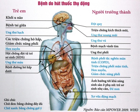 Hơn 48 % phụ nữ Việt thường xuyên tiếp xúc với khói thuốc thụ động độc hại tại nhà- Ảnh 2. Hơn 48 % phụ nữ Việt thường xuyên tiếp xúc với khói thuốc thụ động độc hại tại nhà- Ảnh 2.