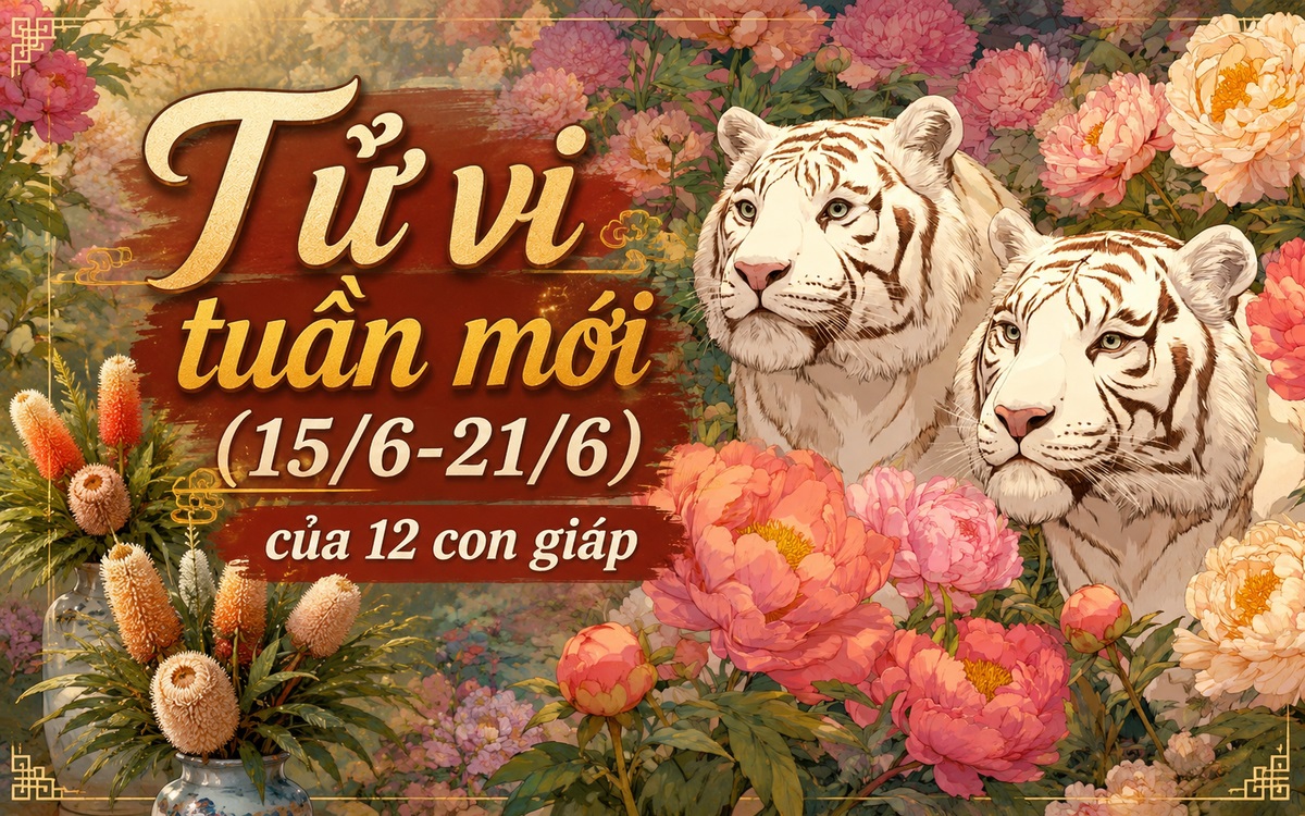 Tử vi tuần mới 12 cung hoàng đạo 15/6 - 21/6: Nhân Mã tỏa sáng, Sư Tử vận may khởi sắc - Ảnh 3.