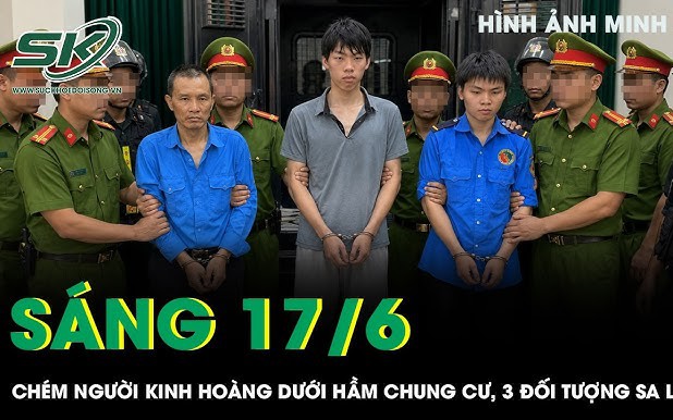  - Ảnh 1.