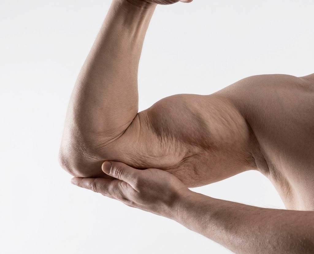 Sau tuổi 50, có nên tập squat mỗi ngày để chống mất cơ? - Ảnh 1.